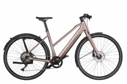 Riese & Muller UBN Seven Touring