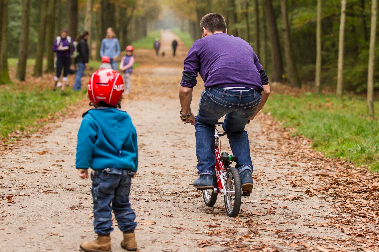 Woom 2 – Sininen 4 Woom 2 – Sininen - Image 4