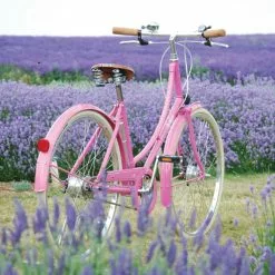 Pashley Poppy 3-vaihteinen Naisten Pyörä- Pinkki -Polkupyörät Shop products pashley poppy a8233