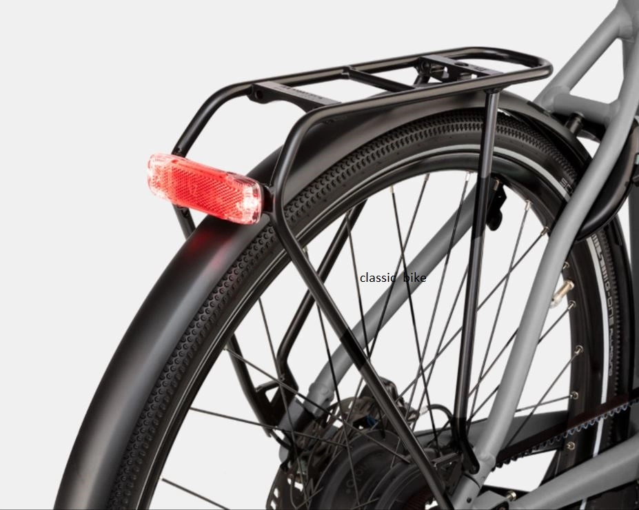 Riese & Muller Roadster Vario 3 Riese & Muller Roadster Vario - Image 3