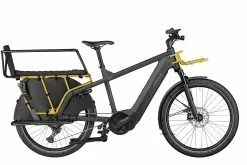 Riese & Muller Multicharger GT Family Utility Grey Väri