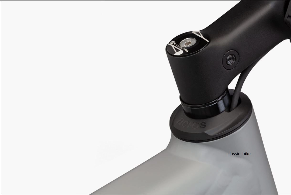 Riese & Muller Roadster Vario 6 Riese & Muller Roadster Vario - Image 6